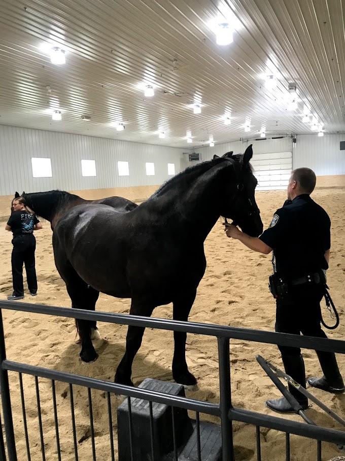 Shows the horses and officers in the arena of the MKE Urban Stables.